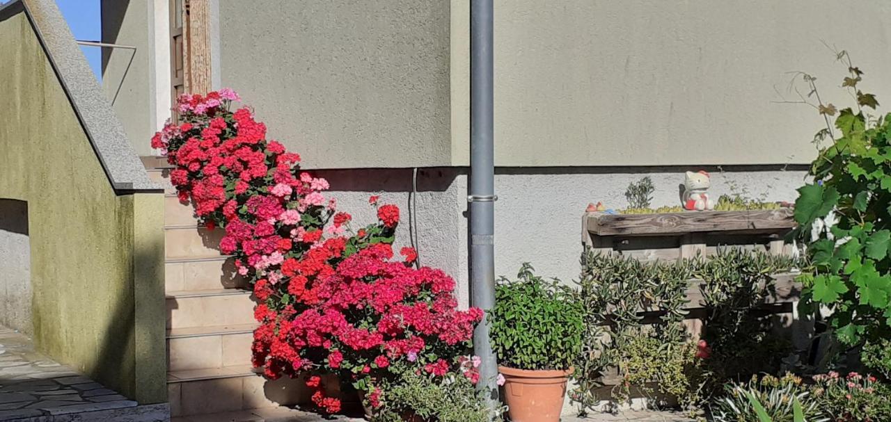Apartamento Kelk Loznati Exterior foto